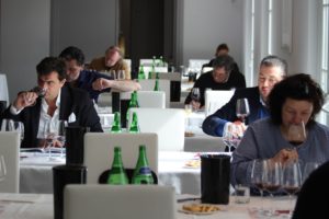 campania_stories_rid2