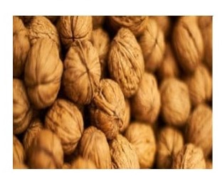 Noce “varietà Sorrento”