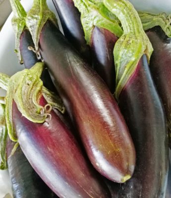 Sagra della Melanzana